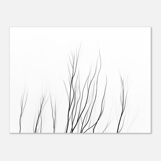 14252-product-4x3-0.jpg