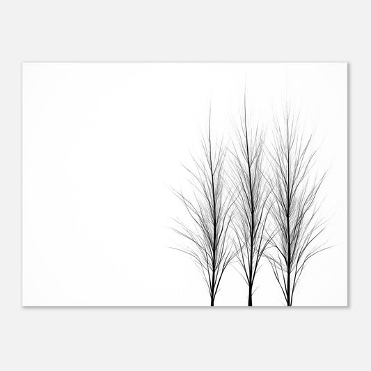 14763-product-4x3-0.jpg