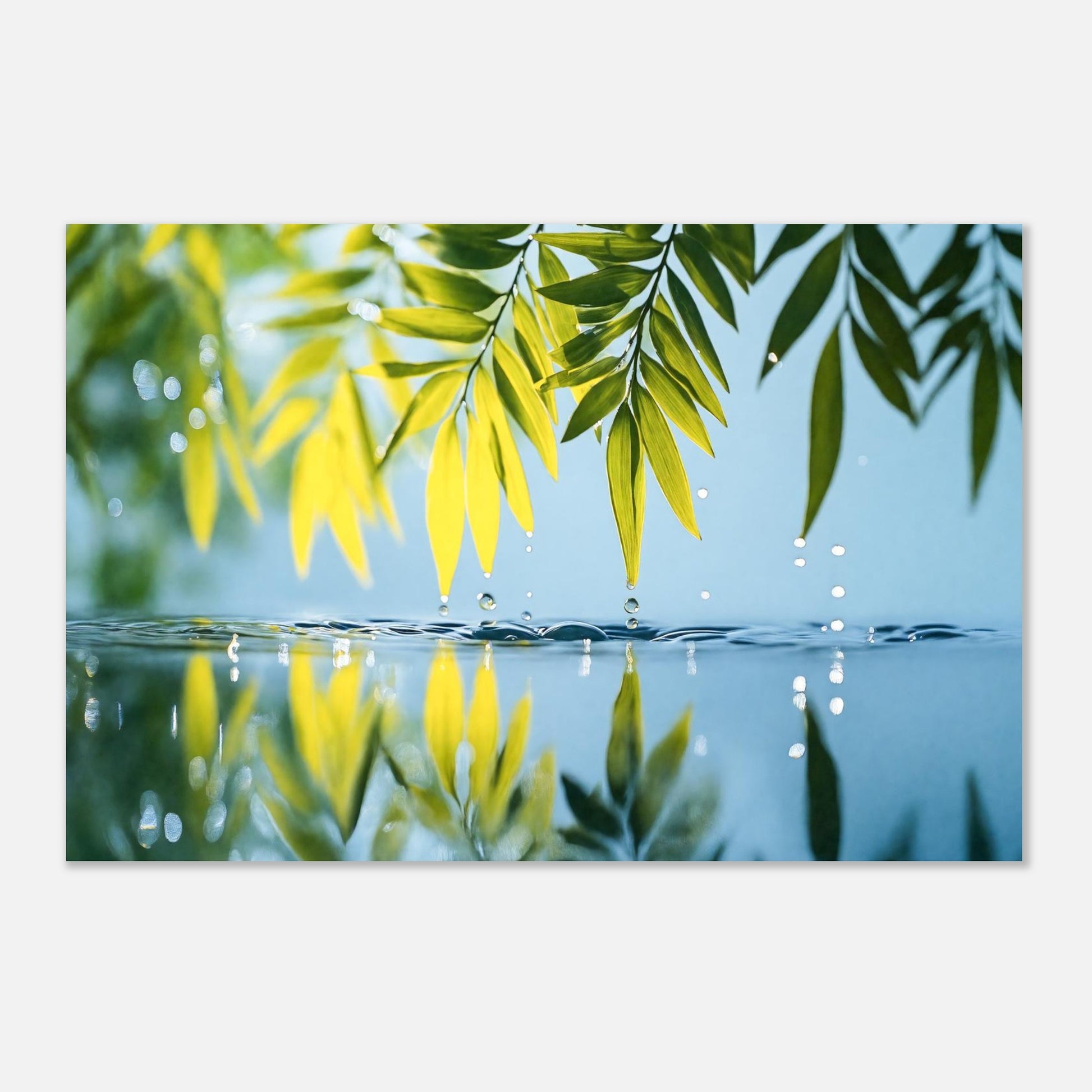 16393-product-3x2-0.jpg