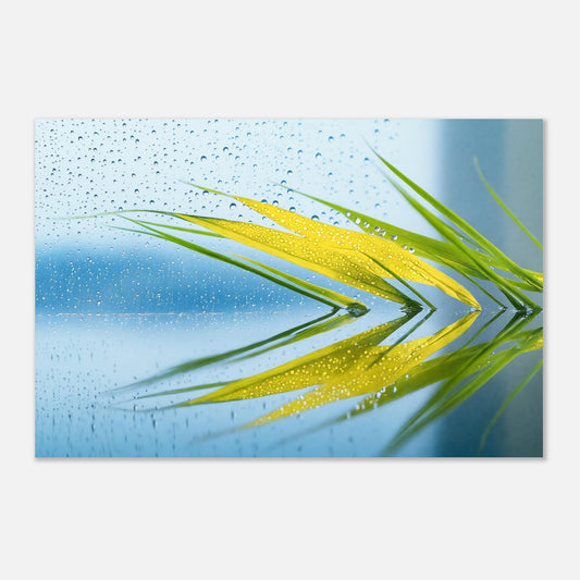 16396-product-3x2-0.jpg