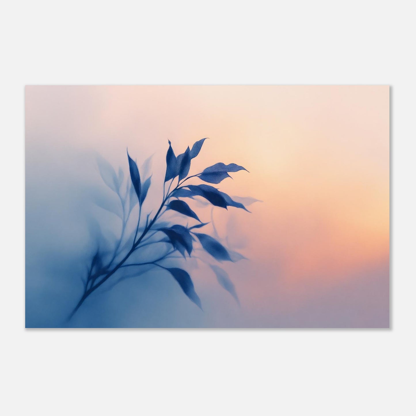 16431-product-3x2-0.jpg