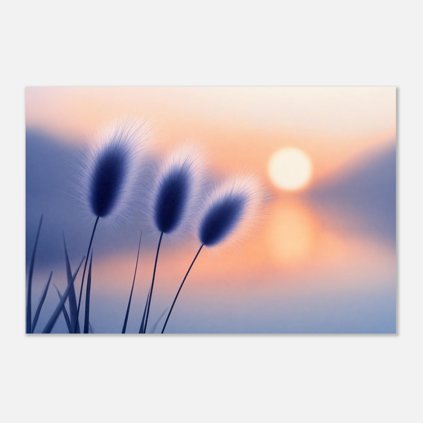 16436-product-3x2-0.jpg