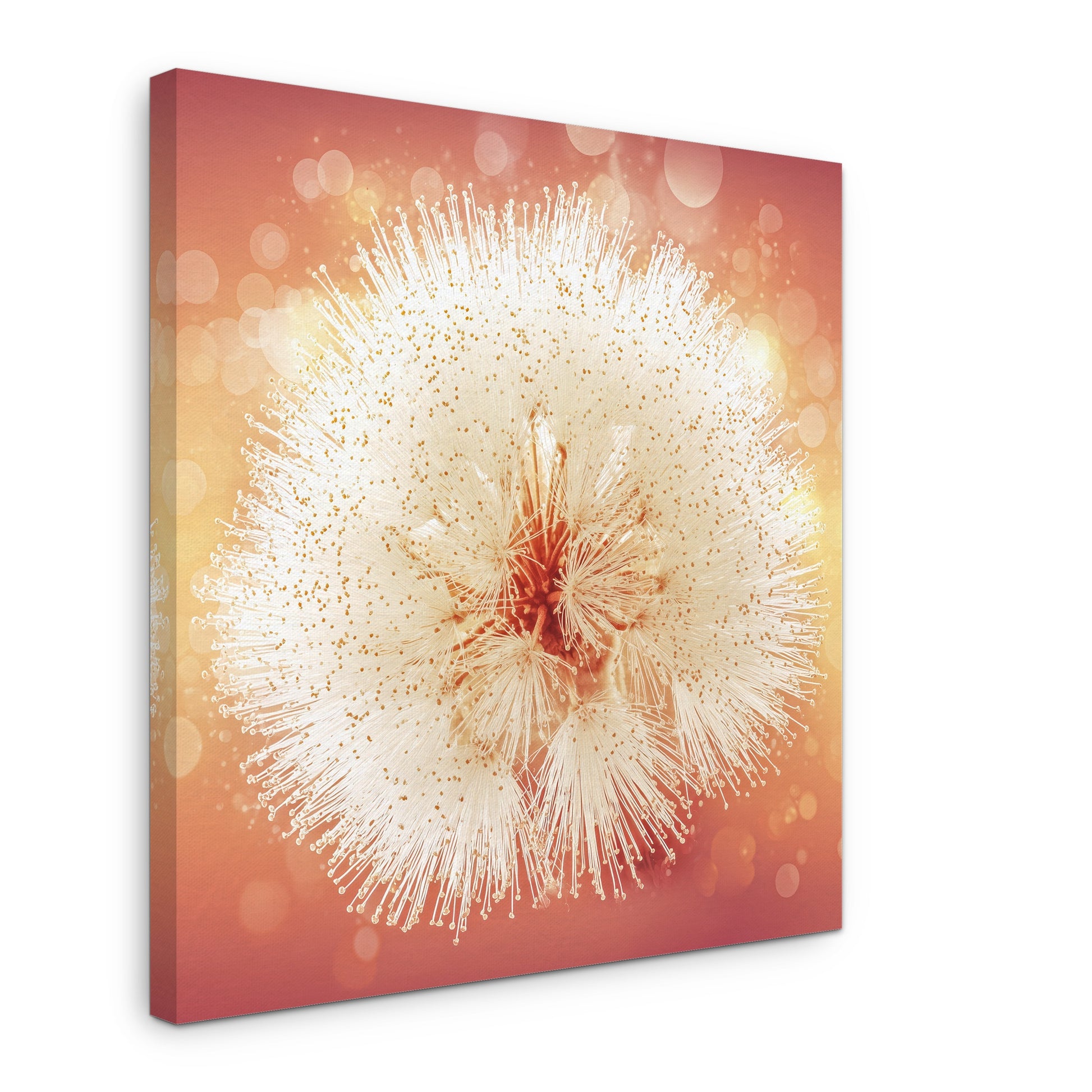 Sky Puff - Canvas print