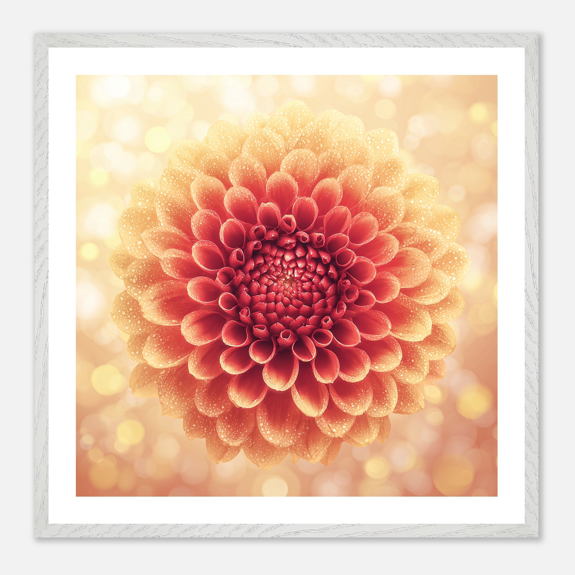 Full Circle - Art print in white frame