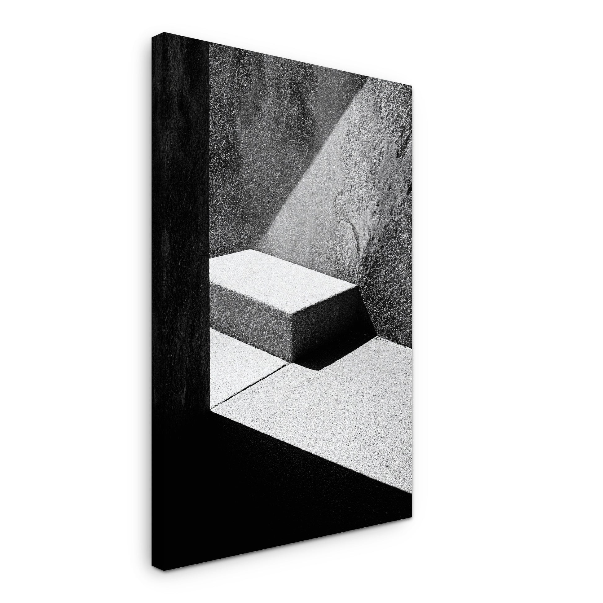 Elevated Plane - Canvas print