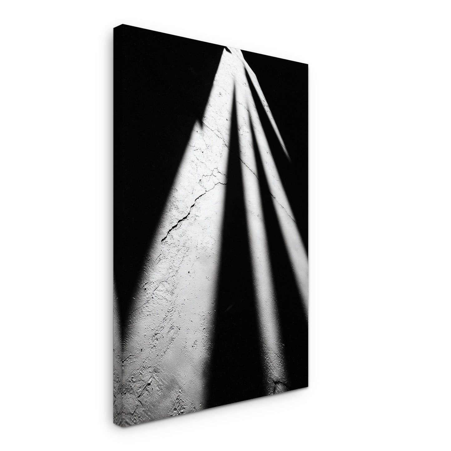 Shadow Spikes - Canvas print
