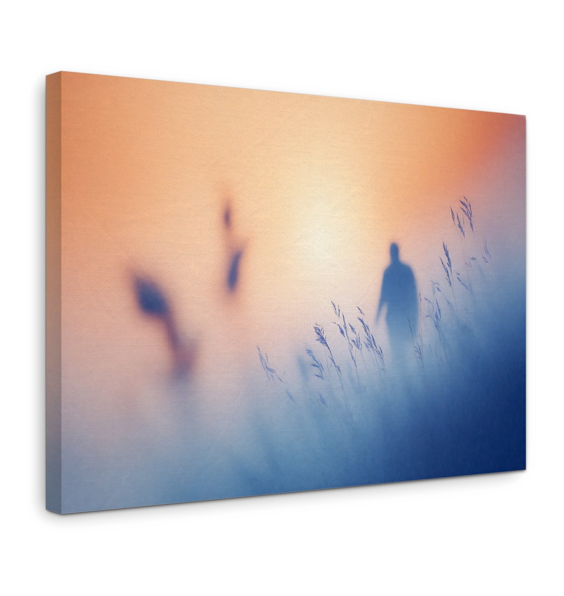 Soft Contours - Gallery wall set with canvas prints