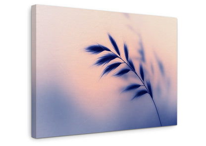 Soft Contours - Gallery wall set with canvas prints