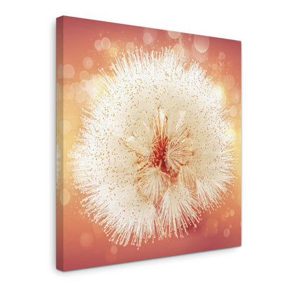 Solstice Bloom - Gallery wall set with canvas prints