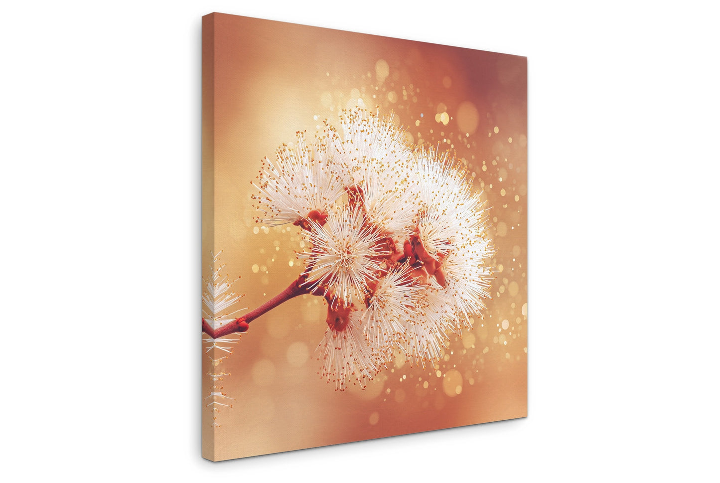 Solstice Bloom - Gallery wall set with canvas prints