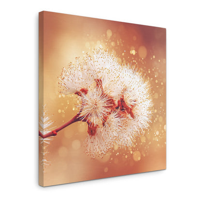 Solstice Bloom - Gallery wall set with canvas prints