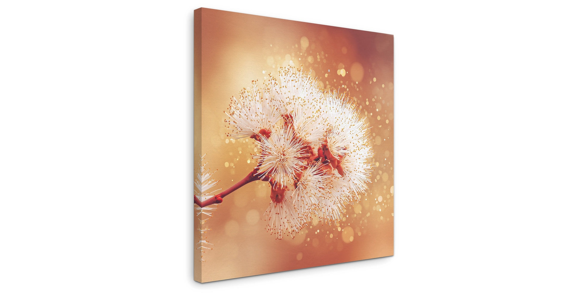 Solstice Bloom - Gallery wall set with canvas prints
