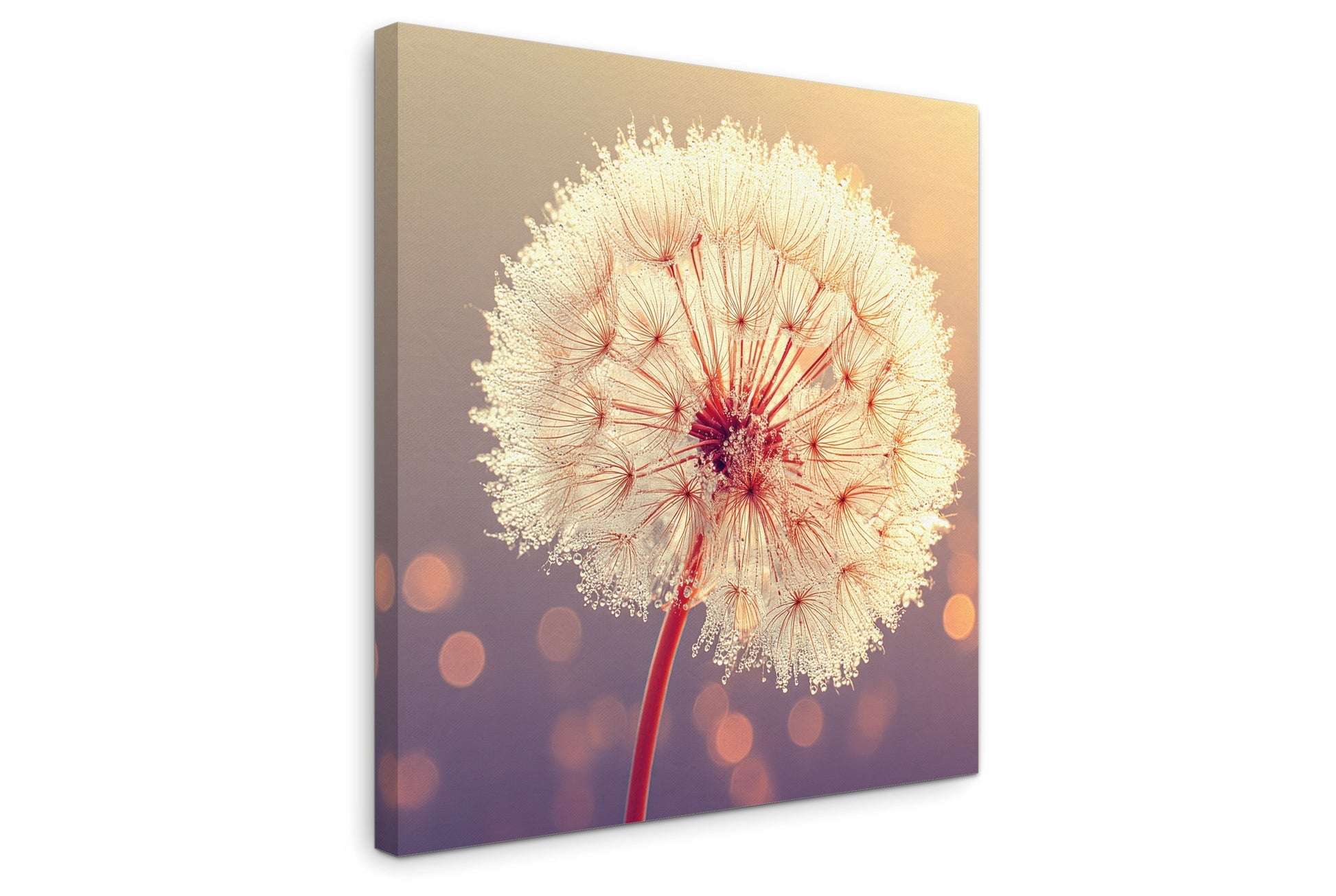 Solstice Bloom - Gallery wall set with canvas prints