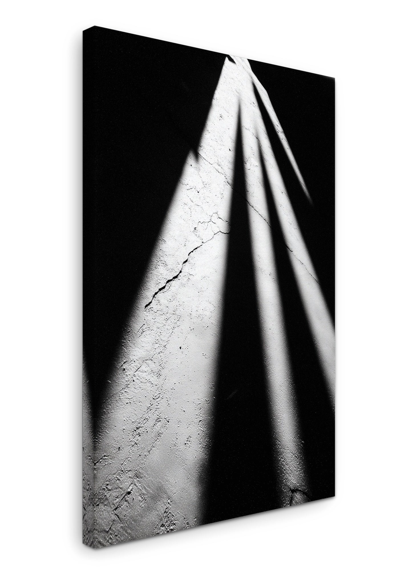 Shadow Play - Gallery wall set with canvas prints