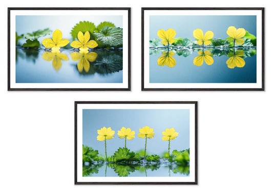 The Surface - Gallery wall set with art prints in black frame