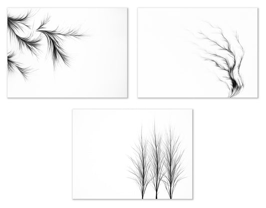 product-4x3_2500x1959.jpg
