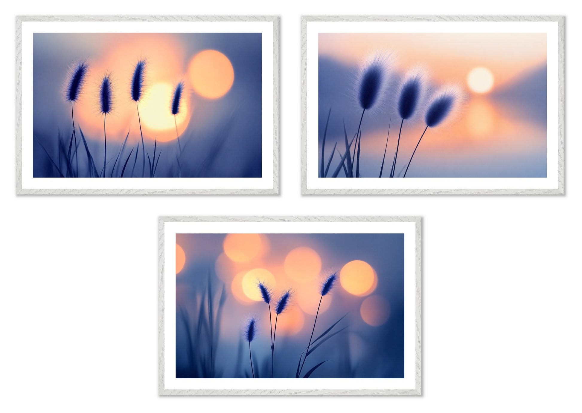 Soft Contours - Gallery wall set with art prints in white frame