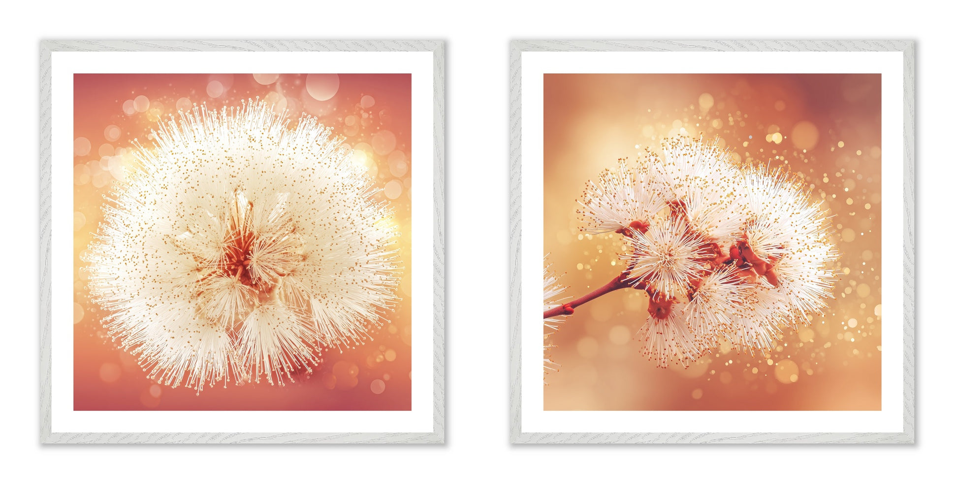 Solstice Bloom - Gallery wall set with art prints in white frame