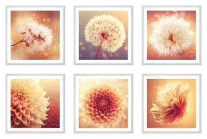Solstice Bloom - Gallery wall set with art prints in white frame